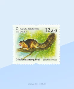 Grizzled Giant Squirrel (Ratufa macroura) Stamp Sri Lanka