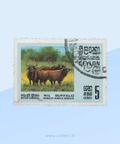 Wild Water Buffalo (Bubalus arnee) Stamp Sri Lanka
