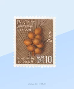 King Coconuts - Redrawn Stamp Sri Lanka